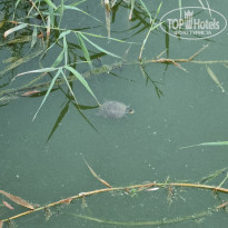 фото из отзыва ID 2709812