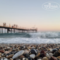 фото из отзыва ID 2709812