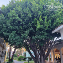 фото из отзыва ID 2709812