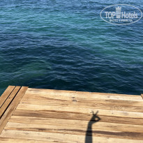 фото из отзыва ID 2709821