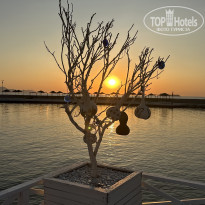 фото из отзыва ID 2709821