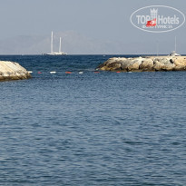 фото из отзыва ID 2709821