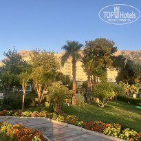 фото из отзыва ID 2709700