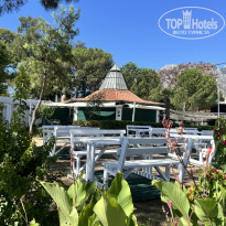 фото из отзыва ID 2709700