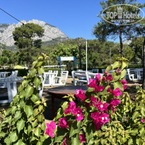 фото из отзыва ID 2709700