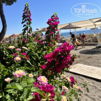 фото из отзыва ID 2709700