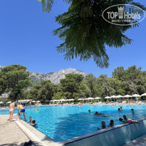 фото из отзыва ID 2709700