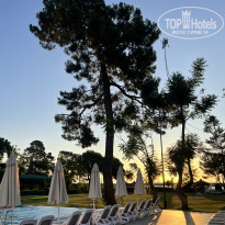 фото из отзыва ID 2709700