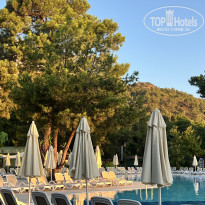 фото из отзыва ID 2709700