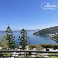 фото из отзыва ID 2709851