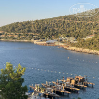 фото из отзыва ID 2709851