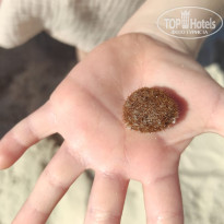 фото из отзыва ID 2709857