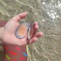 фото из отзыва ID 2709857