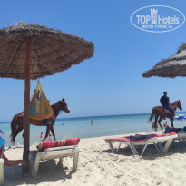 фото из отзыва ID 2709857