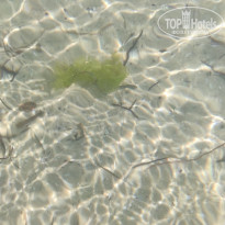 фото из отзыва ID 2709857