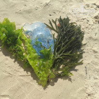 фото из отзыва ID 2709857