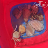 фото из отзыва ID 2709857