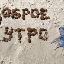 фото из отзыва ID 2709857