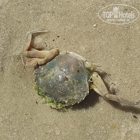 фото из отзыва ID 2709857