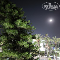 фото из отзыва ID 2709857