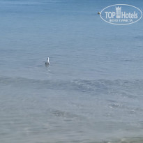 фото из отзыва ID 2709857