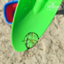 фото из отзыва ID 2709857