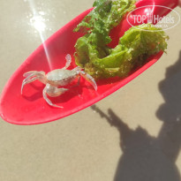 фото из отзыва ID 2709857