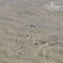 фото из отзыва ID 2709857