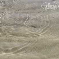 фото из отзыва ID 2709857