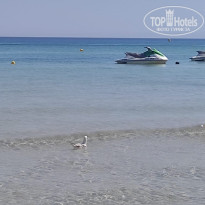 фото из отзыва ID 2709857