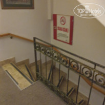 фото из отзыва ID 2709902