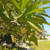 фото из отзыва ID 2709919