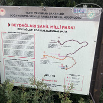 фото из отзыва ID 2709927