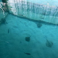 фото из отзыва ID 2709927