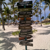 фото из отзыва ID 2709926