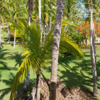 фото из отзыва ID 2709926