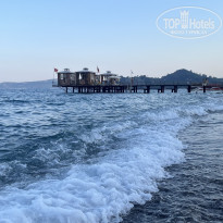 фото из отзыва ID 2709996