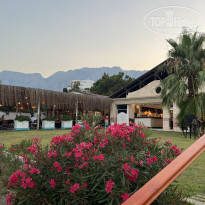 фото из отзыва ID 2709996