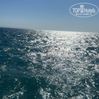 фото из отзыва ID 2709700