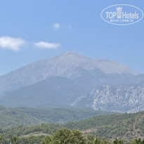 фото из отзыва ID 2709290