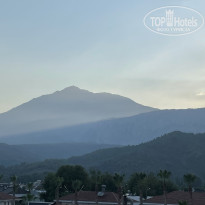 фото из отзыва ID 2709290