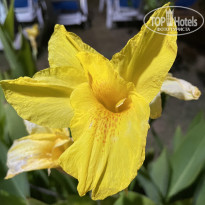 фото из отзыва ID 2709290