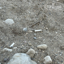 фото из отзыва ID 2709137