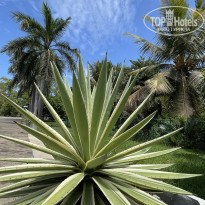 фото из отзыва ID 2704915