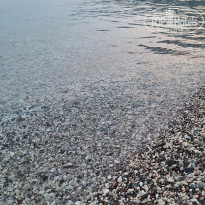 фото из отзыва ID 2704963