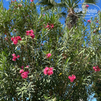 фото из отзыва ID 2700944