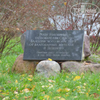 фото из отзыва ID 2701237