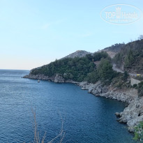 фото из отзыва ID 2701678