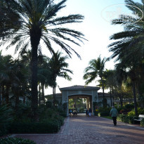 фото из отзыва ID 2707957