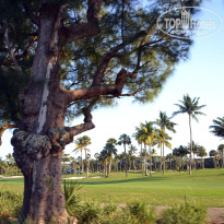 фото из отзыва ID 2707957